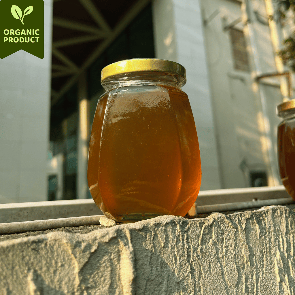 Wild Harvested Organic Forest Honey (Small Makhi - Tastes like Caramel!)